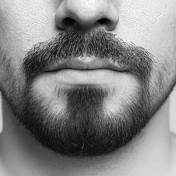 Small Clean Goatee The Complete Goatee Grooming Guide