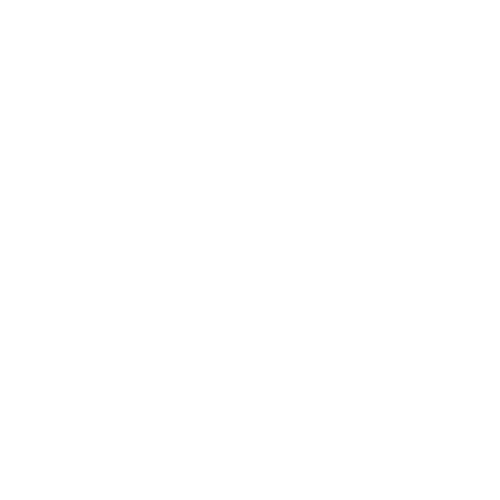 LEJONJON